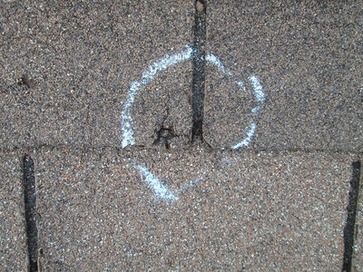 Close-up image of a single hail damage dent on an asphalt roof shingle, marked with a white chalk circle for visibility