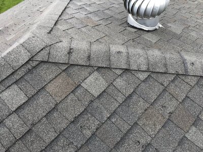 Asphalt shingle roof with many dents from hail damage