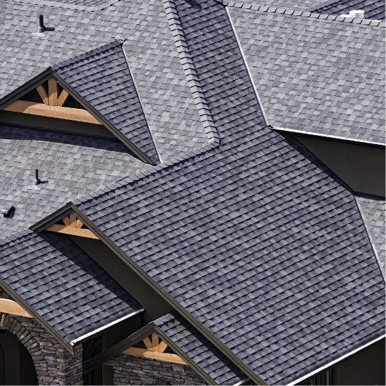 Asphalt Shingle Roof