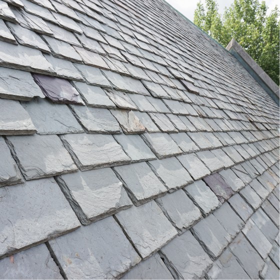 Slate Roof